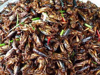 06 Skun - Spider market - Cavallette fritte in un vassoio