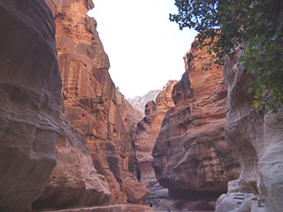 14 Petra - Il Siq
