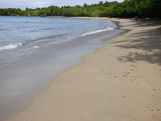 13 - Anse Tartane