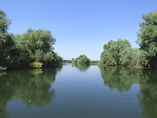 28 Tulcea - Escursione nel Delta del Danubio